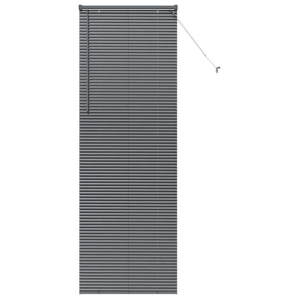 vidaXL Window Blind with Curtains Manual Dark grey Aluminium
