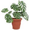 Product Thumbnail Image 3 of 12