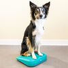 FitPAWS Pet Balance Ramp 35x35x7 cm Blue