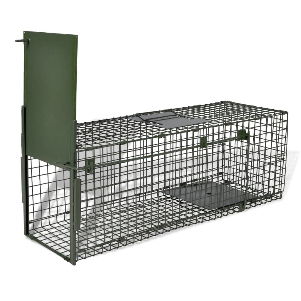 Dog trap hot sale cage
