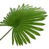 Product Thumbnail Image 4 of 6