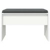 vidaXL Hall Bench with Cushion White 63 x 38 x 40 cm