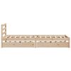 vidaXL Bed Frame without Mattress 75x190 cm Small Single Solid Wood Pine