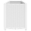 Product Thumbnail Image 4 of 7