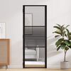 vidaXL Interior Door Black 76 x 201.5 cm Tempered glass and Aluminium