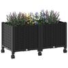 Product Thumbnail Image 3 of 8