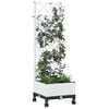 Product Thumbnail Image 3 of 8