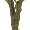 Product Thumbnail Image 4 of 5
