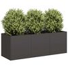 Product Thumbnail Image 2 of 9