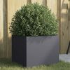 Product Thumbnail Image 2 of 11
