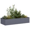 vidaXL Planter Anthracite 200x80x40 cm Steel
