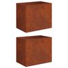 vidaXL Garden Planter 2 pcs Rusty 50 x 40 x 50 cm Weathering Steel