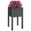 vidaXL Garden Planters 2 pcs Grey 40x40x70 cm Solid Pinewood