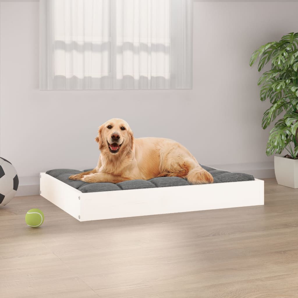 Ikea pet shop sofa