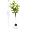 Product Thumbnail Image 5 of 5