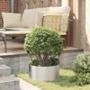 Product Thumbnail Image 4 of 10