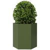 Product Thumbnail Image 5 of 13