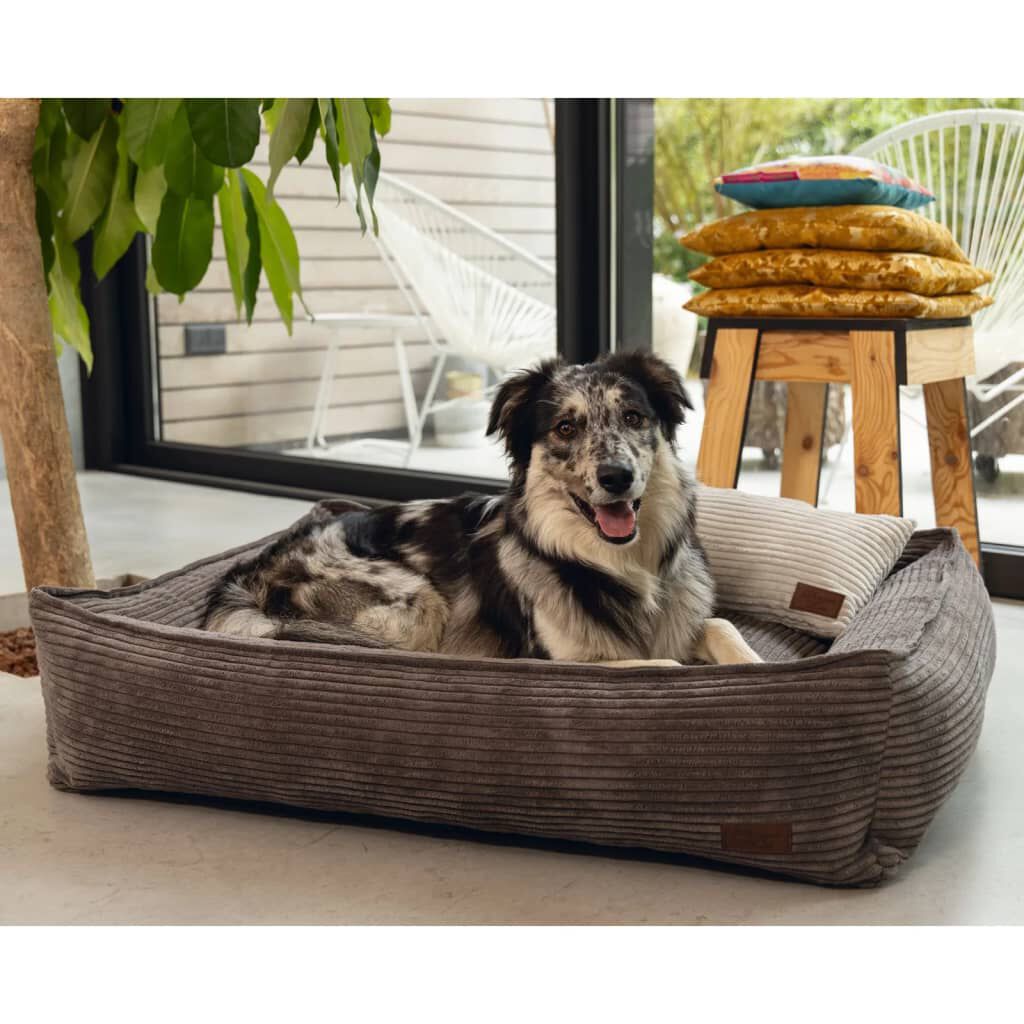 Medium dog basket top
