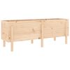 vidaXL Garden Raised Bed 160x50x57 cm Solid Wood Pine