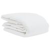 vidaXL Summer Duvet with Pillow 2 pcs White Down Feather