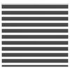 vidaXL Zebra Blind Black 165x100 cm Fabric Width 160.9 cm Polyester