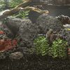 Product Thumbnail Image 2 of 5