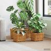 Product Thumbnail Image 2 of 9