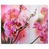 Product Thumbnail Image 2 of 7