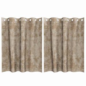 vidaXL Velvet Curtains 2 pcs Champagne 140 x 140 cm Velvet