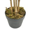 Product Thumbnail Image 3 of 4