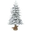 Product Thumbnail Image 3 of 5