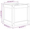 Product Thumbnail Image 12 of 12