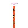 Product Thumbnail Image 6 of 6