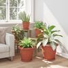 Product Thumbnail Image 4 of 12