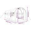 vidaXL Greenhouse with Steel Frame Green 12 m&sup2; 6x2x2 m