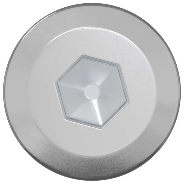 vidaXL Wood Screws 2 pcs Silver M6 x 70 mm Steel