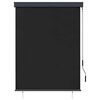 vidaXL Outdoor Roller Blind 120x250 cm Anthracite