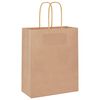 vidaXL Paper Bags 250 pcs with Handles Brown 18x8x22 cm