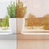 Product Thumbnail Image 3 of 10