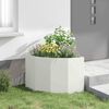 Product Thumbnail Image 4 of 12