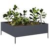 Product Thumbnail Image 3 of 10