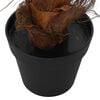 Product Thumbnail Image 5 of 6