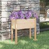 vidaXL Garden Planter 70x31x70 cm Solid Pinewood