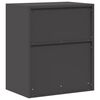 vidaXL Storage Cabinet Black 60 x 40 x 70 cm Steel
