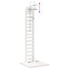 Product Thumbnail Image 9 of 11