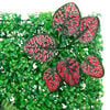 Product Thumbnail Image 7 of 8