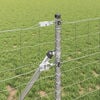 Product Thumbnail Image 4 of 15