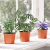 Product Thumbnail Image 5 of 11