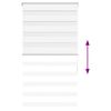 vidaXL Zebra Blind White 80x150 cm Fabric Width 75.9 cm Polyester