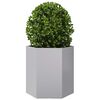 vidaXL Garden Planter 2 pcs Hexagon 46x40x45 cm Galvanized Steel